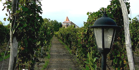 Restoran Vinski Dvor
